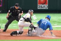 　５回、田宮のスクイズでホームを狙うもアウトになる二走・清宮幸（捕手・海野）＝撮影・伊藤笙子