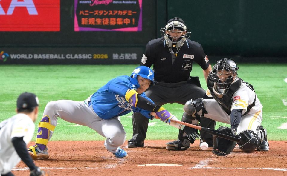 　５回、スクイズを敢行する田宮（撮影・伊藤笙子）