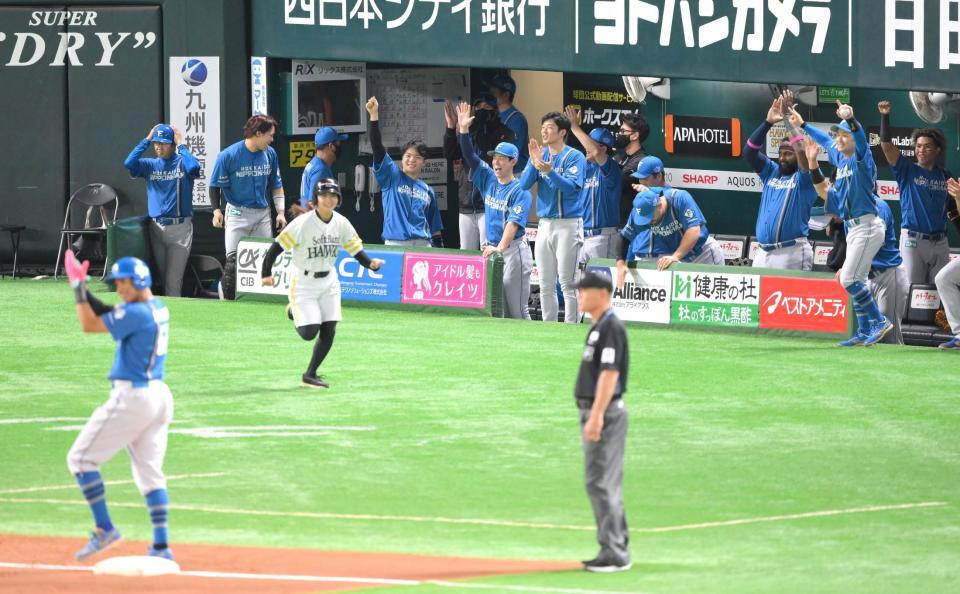 　４回、矢沢の適時二塁打に盛り上がる新庄監督ら日本ハムベンチ（撮影・伊藤笙子）