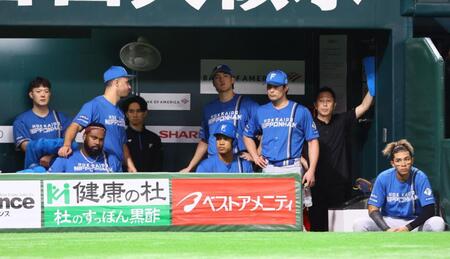 　敗戦し、ベンチからソフトバンクナインを見つめる日本ハムナイン（撮影・中島達哉）
