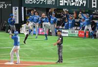 　５回、清宮幸の２点打に盛り上がる日本ハムベンチ（撮影・伊藤笙子）