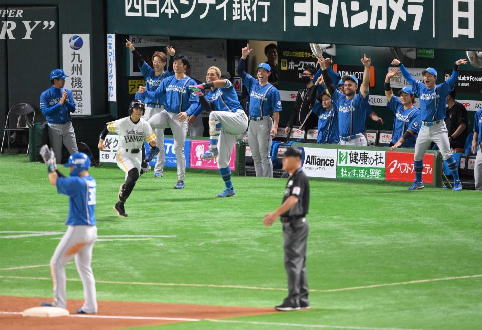 　５回、清宮幸の２点打に盛り上がる日本ハムベンチ（撮影・伊藤笙子）