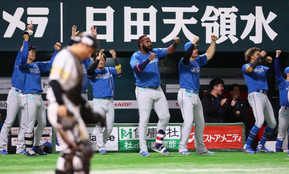 　４回、郡司が同点打を放ち、沸き上がる日本ハムナイン（撮影・中島達哉）