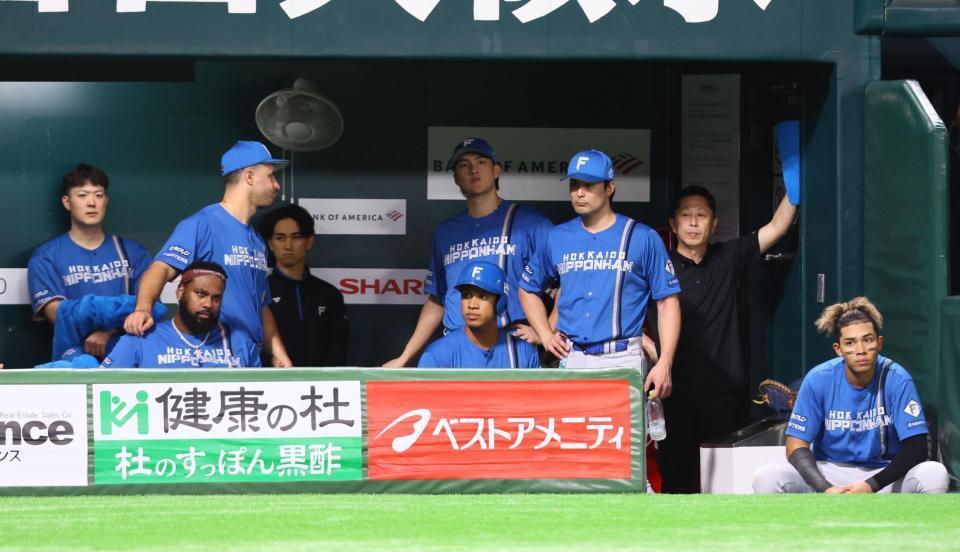 　敗戦し、ベンチからソフトバンクナインを見つめる日本ハムナイン（撮影・中島達哉）