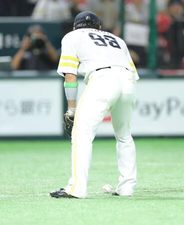 　６回、中野のバントの打球を見る野村（撮影・西岡正）