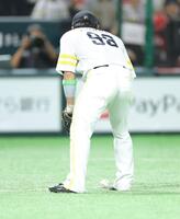 　６回、中野のバントの打球を見る野村（撮影・西岡正）