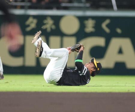 　６回、坂本のフライを好捕する今宮（撮影・西岡正）