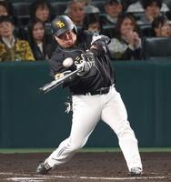 　４回、同点ソロを放つ山川（撮影・金田祐二）
