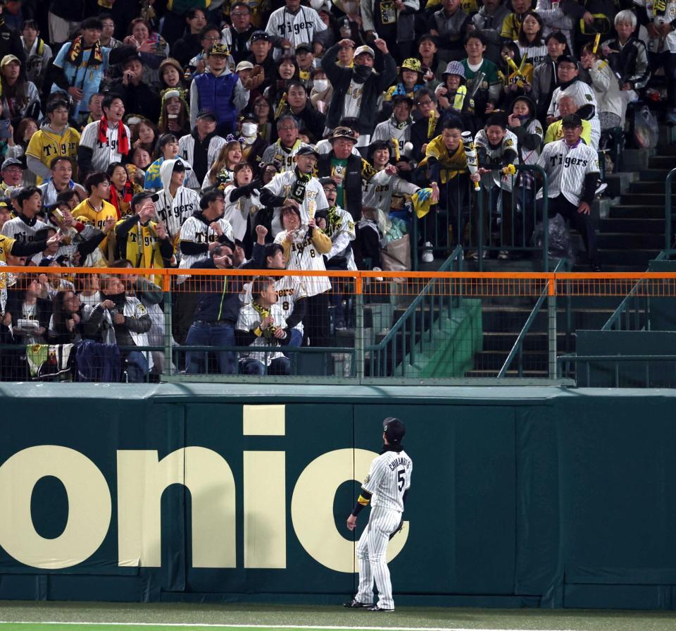 　４回、近本は山川のスタンドインする打球を見送る（撮影・山口登）