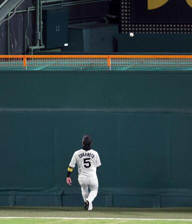 　２回、近本はスタンドインする山川の打球を見送る（撮影・山口登）