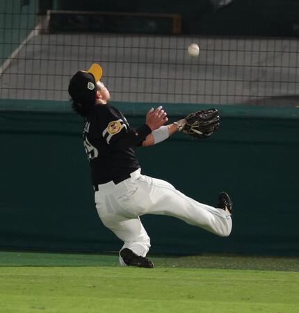 　２回、佐藤輝の邪飛を好捕する野村（撮影・金田祐二）