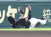 　２回、佐藤輝の邪飛を捕球する野村（撮影・北村雅宏）