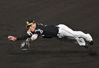 　６回、大山の打球を好捕する野村（撮影・西田忠信）