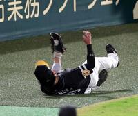 　２回、野村は佐藤輝の飛球を好捕する（撮影・山口登）