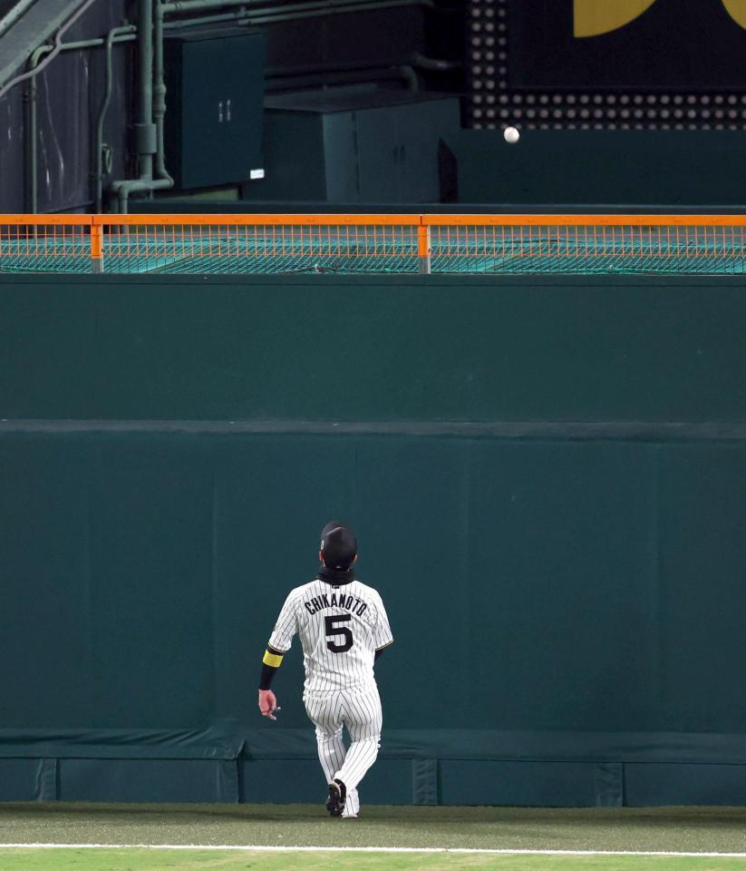 　２回、近本はスタンドインする山川の打球を見送る（撮影・山口登）