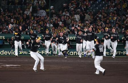 　日本シリーズを制し歓喜のソフトバンクナイン（撮影・金田祐二）