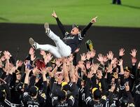 　日本シリーズを制し胴上げされる小久保監督（撮影・山口登）