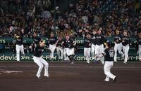 　日本シリーズを制し歓喜のソフトバンクナイン（撮影・金田祐二）