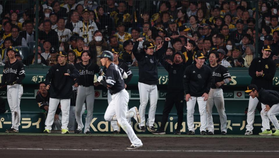 　柳田の同点２ランに喜ぶソフトバンクベンチ（撮影・金田祐二）