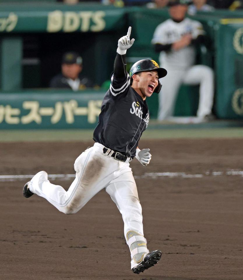 　１１回、勝ち越しソロを放ち雄たけびを上げてダイヤモンドを回る野村（撮影・立川洋一郎）