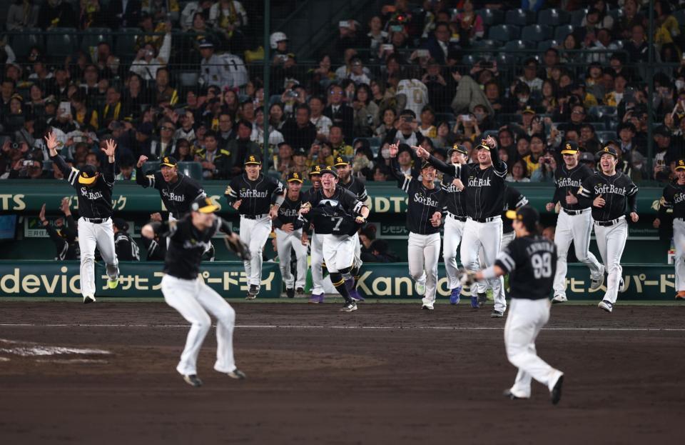 　日本シリーズを制し歓喜のソフトバンクナイン（撮影・金田祐二）