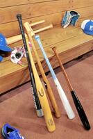 　練習で使用したバット