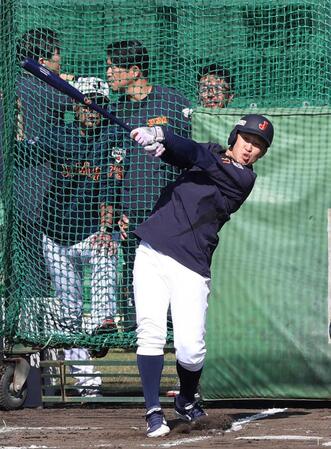 　フリー打撃を行う小園