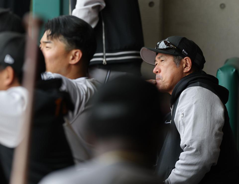 　紅組ベンチから戦況を見る石井２軍監督（撮影・西岡正）