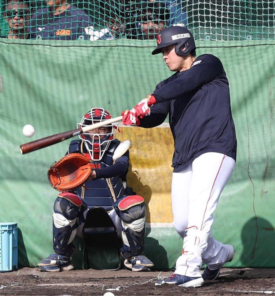 　打撃練習をする岡本（撮影・佐々木彰尚）