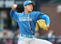 日本ハム・孫易磊