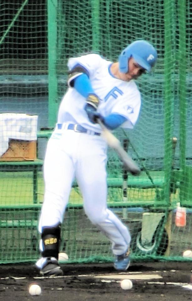 　フリー打撃を行う柴田