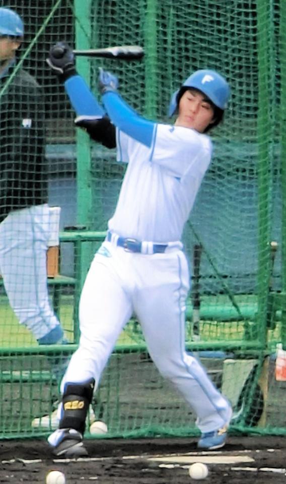 　フリー打撃を行う柴田