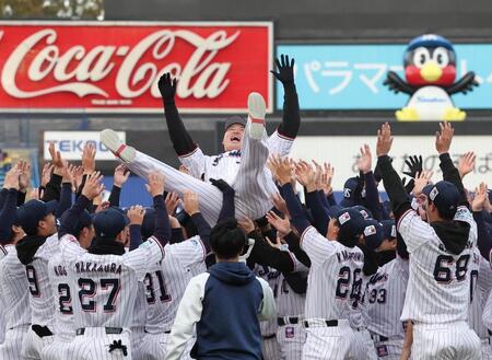 　胴上げされる村上（撮影・佐々木彰尚）