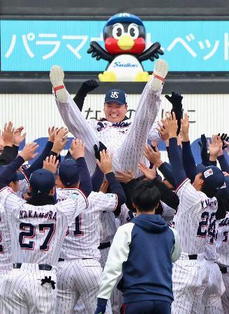 　ファン感謝イベントで胴上げされるヤクルト・村上＝２３日、神宮
