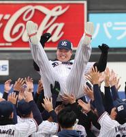 　胴上げされる村上（撮影・佐々木彰尚）