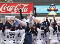 　胴上げされる村上（撮影・佐々木彰尚）