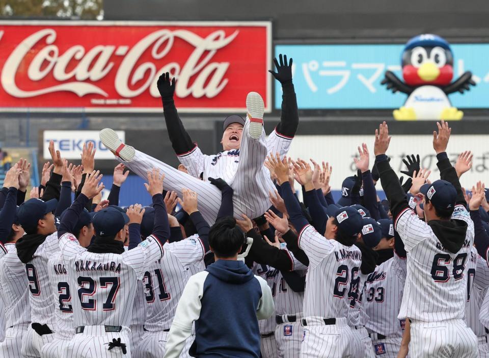 　胴上げされる村上（撮影・佐々木彰尚）