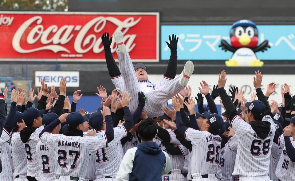 　胴上げされる村上（撮影・佐々木彰尚）