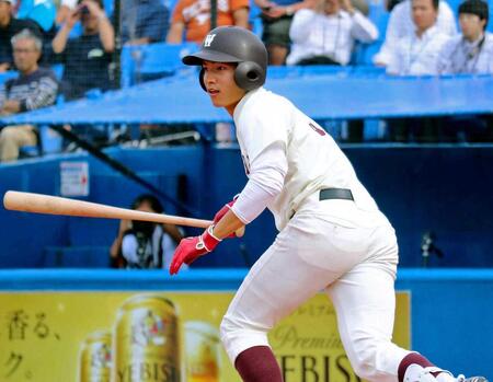 　早大時代の加藤雅樹（１７年撮影）