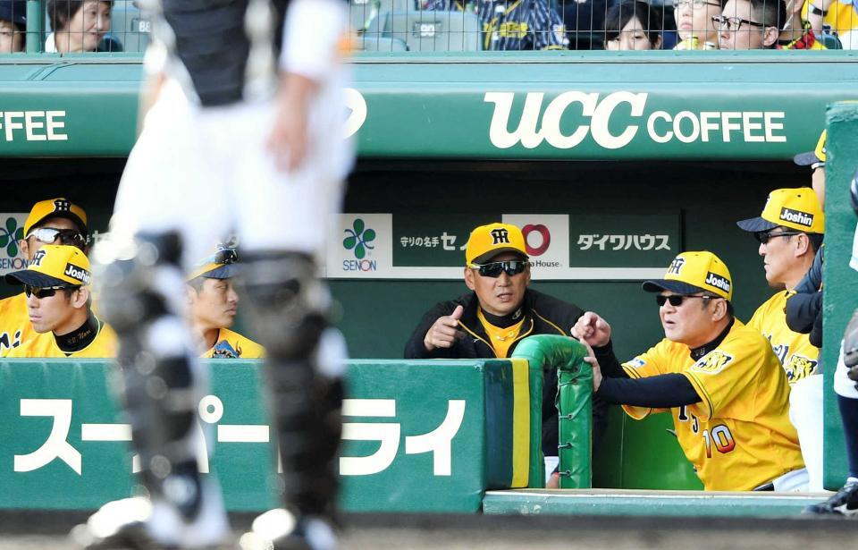 　阪神・金本監督と話し込む高代コーチ（２０１８年）