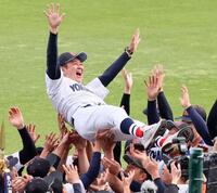 　胴上げされる横浜・村田浩明監督＝３月３０日