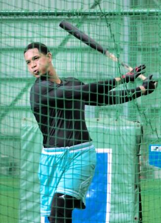 　自主トレでティー打撃をする万波