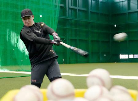 　打撃練習する阪神・大山＝兵庫県尼崎市