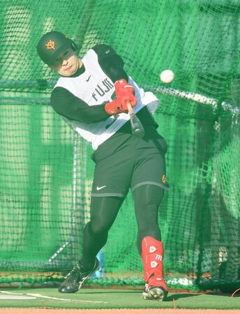 　新人合同自主トレで初めてフリー打撃を行い快音を響かせるドラフト６位の藤井（撮影・開出牧）