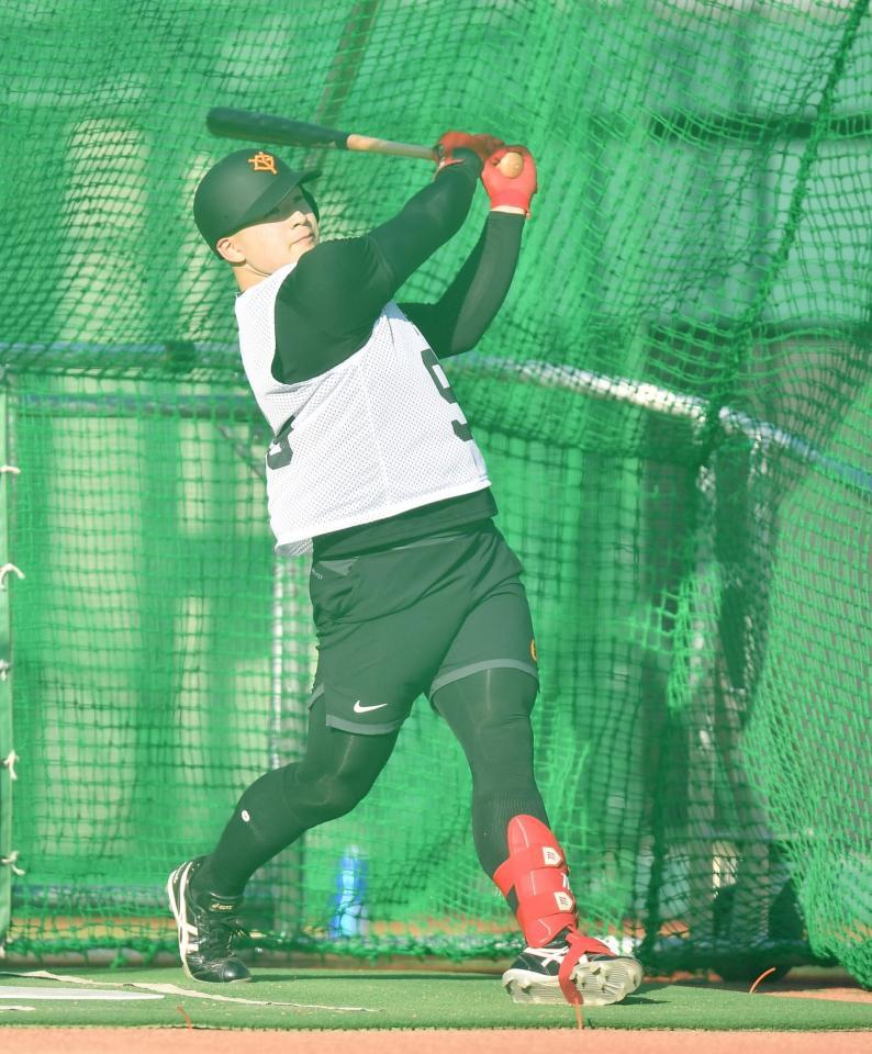 新人合同自主トレで初めてフリー打撃を行い快音を響かせるドラフト６位の藤井（撮影・開出牧）