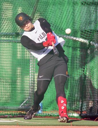 　新人合同自主トレで初めてフリー打撃を行い快音を響かせる藤井（撮影・開出牧）
