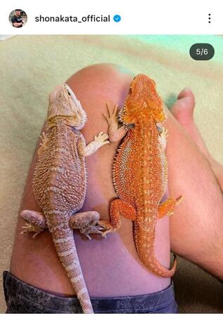 中田翔氏のインスタグラム（＠ｓｈｏｎａｋａｔａ＿ｏｆｆｉｃｉａｌ）から