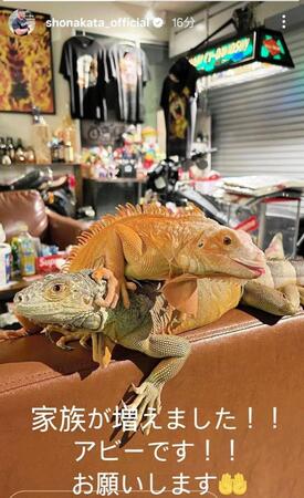 中田翔氏のインスタグラム（＠ｓｈｏｎａｋａｔａ＿ｏｆｆｉｃｉａｌ）から