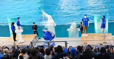 ＤＢ　スターマンの持つボードにシロイルカが水をかけるとスローガンが浮き上がる（撮影・持木克友）