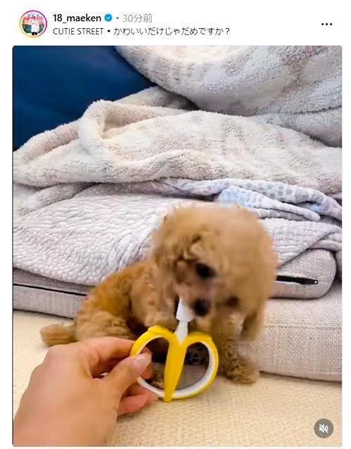 　前田健太のインスタグラム（１８＿ｍａｅｋｅｎ）より